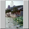 Beijing - Sommerpalast, Lotosblätter im Kunming-See, hinten die Pagoda des Dufts und des Buddhas