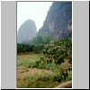 dörfliche Landschaft bei Yangshuo -  vorne Kaki-Früchte auf einem Baum