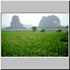 dörfliche Landschaft bei Yangshuo -  Reisfelder und Karstberge