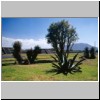 Teotihuacan - Eingangsbereich am Tor 1, hinten die Zitadelle (Blick nach S&uuml;dosten)
