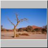 Namibw&uuml;ste bei Sossusvlei - Landschaft mit ausgetrocknetem Baum