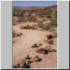 `versteinerter Wald` im Damaraland - Landschaft mit versteinerten Baumst&auml;mmen