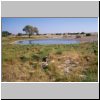 Okaukuejo Camp (Etosha N.P.) - das Wasserloch am Camp