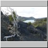 Torres del Paine NP - Blick nach S&uuml;den auf den Lago Peho&eacute; vom Standort in der N&auml;he des Salto Grande Wasserfalls