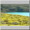 Torres del Paine - Wanderung vom Campingplatz Peho&eacute; zum Aussichtspunkt Mirador Condor, Blick auf den Lago Peho&eacute;