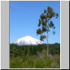 unterwegs nach Pucon � Blick auf den Vulkan Villarrica